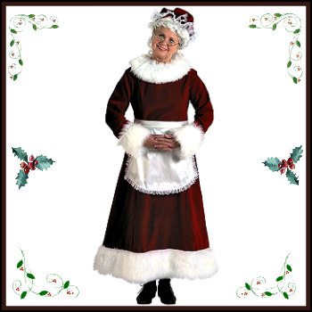 mrs claus outfit for babies